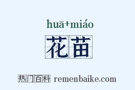 花苗是什么意思的图片